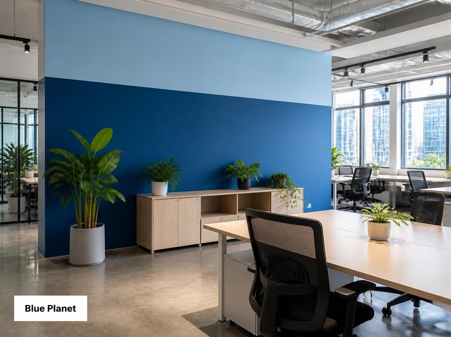 Office Blue Planet